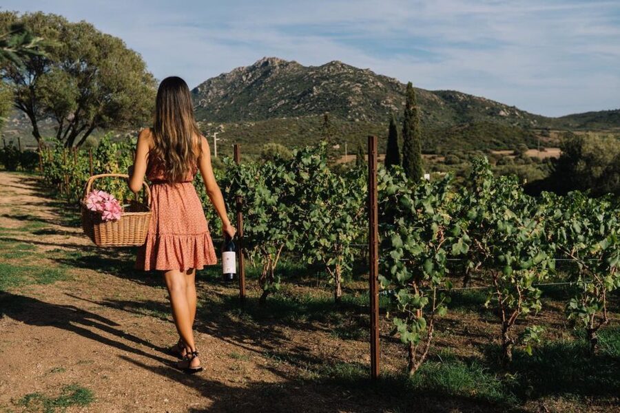 Olbia: Gallura Winery Guided Tour with Tasting - Planning the trip from Olbia