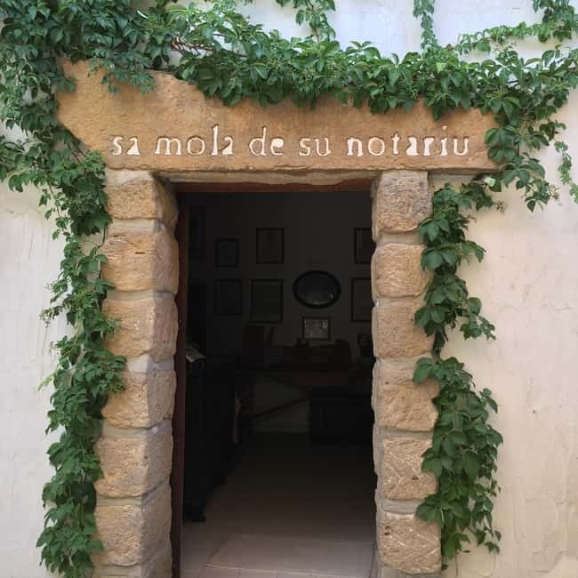 Olive Oil Museum: Extravirgin school - Food & wine tasting - Limolio, Rogo del Tempio, and the tasting table