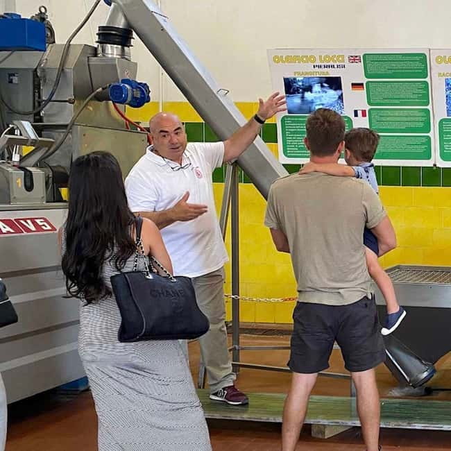 Olive Oil Museum: Extravirgin school - Food & wine tasting - Why the one-hour format works, and where it feels tight