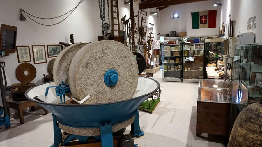 Olive Oil Museum: Extravirgin school - Food & wine tasting - Is $60.35 a fair price?