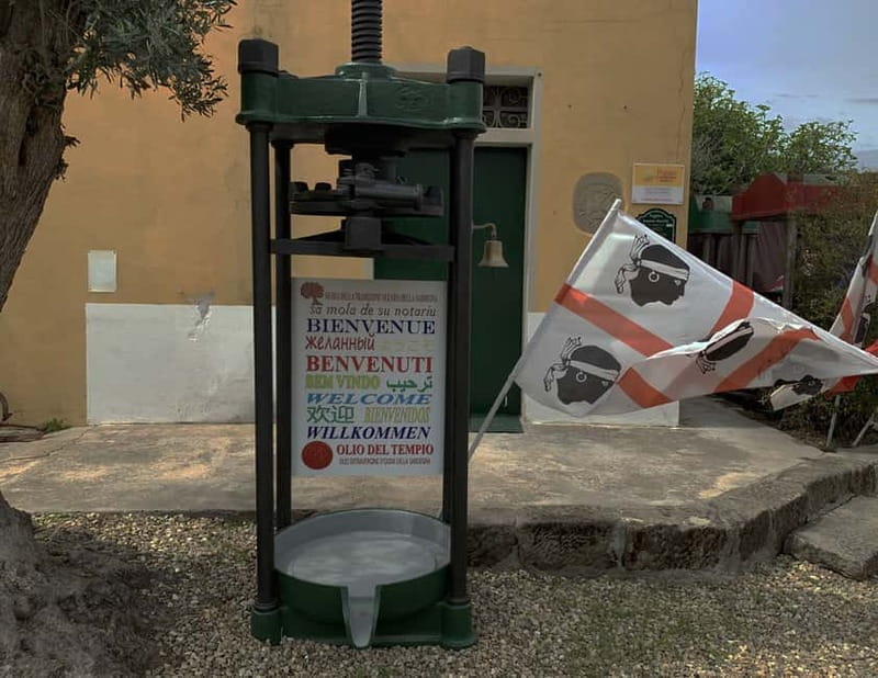 Olive Oil Museum: Extravirgin school - Food & wine tasting - Sa Mola de Su Notariu and the underground cistern