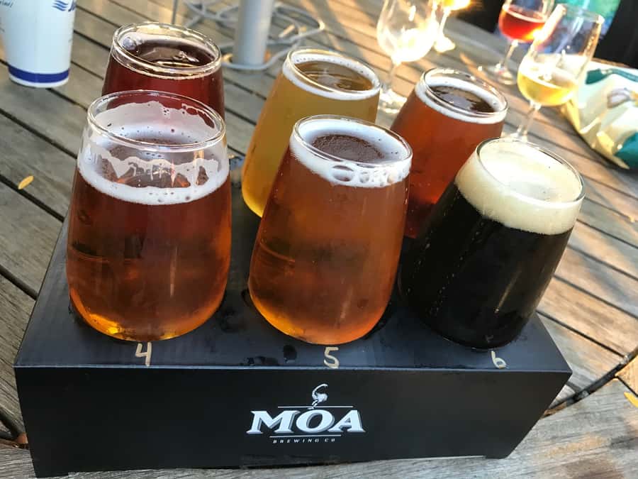 Onshore Highlights of Marlborough's Wine Region from Picton - Optional Omaka aviation stop or a fourth tasting