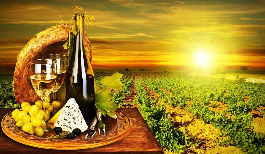 Organic Wine Tasting with Saint paul Half Day Tour from Nice - Why this half-day makes sense from Nice
