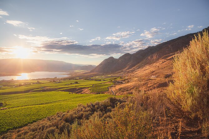 Osoyoos Half Day Wine Tour (Incl. Tasting Fees & Guide Gratuity!) - Bartier Bros. and a more personal tasting-room feel
