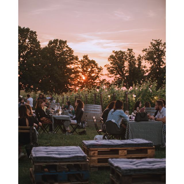 Ozzano Emilia: Guided Cellar Walking Tour with Wine Tasting - Booking, cancellation, and practical planning