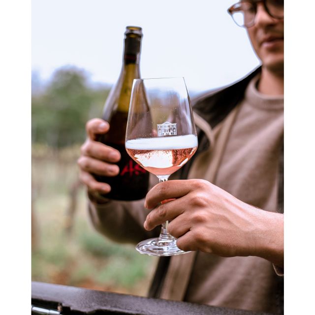 Ozzano Emilia: Guided Cellar Walking Tour with Wine Tasting - From Bologna to the hills of Ozzano Emilia