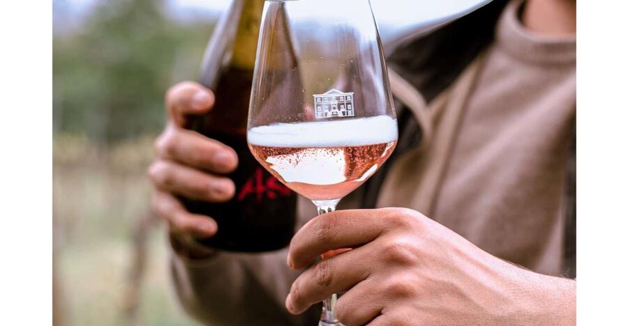 Ozzano Emilia: Guided Cellar Walking Tour with Wine Tasting - Meeting the people behind the bottles