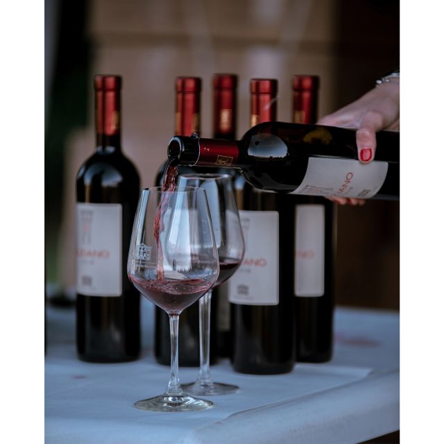 Ozzano Emilia: Guided Cellar Walking Tour with Wine Tasting - The tasting: six or seven wines from sparkling to red
