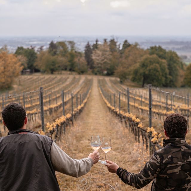 Ozzano Emilia: Guided Cellar Walking Tour with Wine Tasting - A walk through the estate and working cellar
