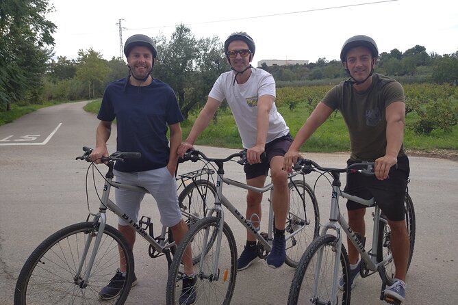 Paella Class, Winery & Bike Ride - Free Hotel Pickup from Sitges - Timing, transport, and the small practical details