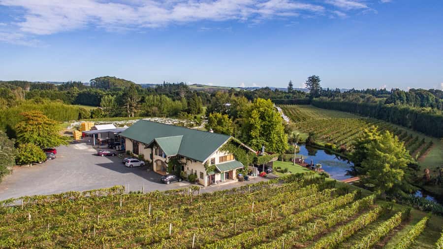 Paihia or Kerikeri: Wine, Spirit, & Craft Beer Tour - Marsden Estate: six wines and a platter lunch