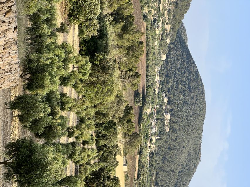 Palma: Orange Farm, Olive Mill, & Winery Tour with Tastings - A winery stop with three local wines