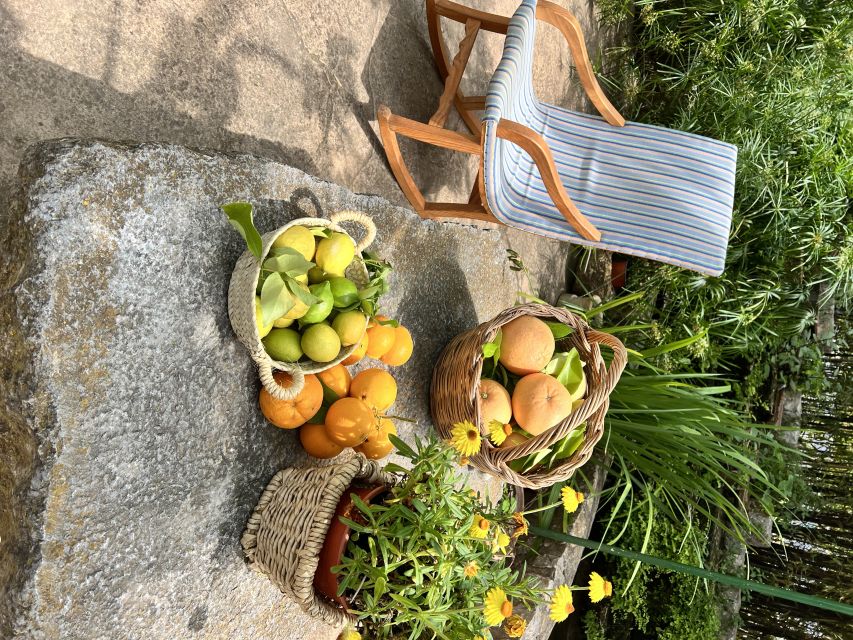 Palma: Orange Farm, Olive Mill, & Winery Tour with Tastings - Inside a small Mallorcan olive mill