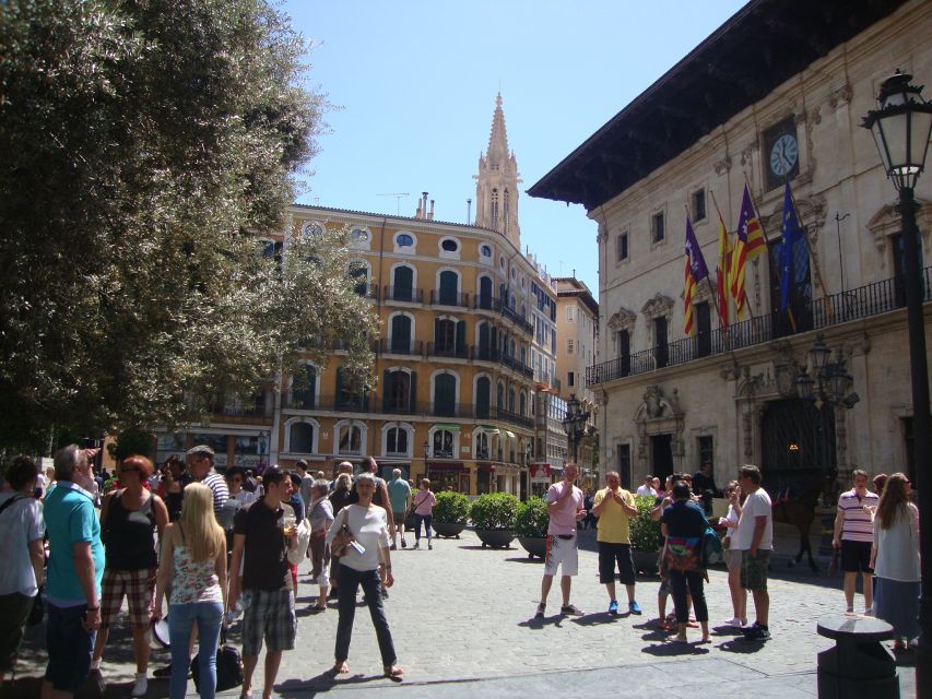 Palma Tour with Wine and Tapas Tasting - Who will get the most from it