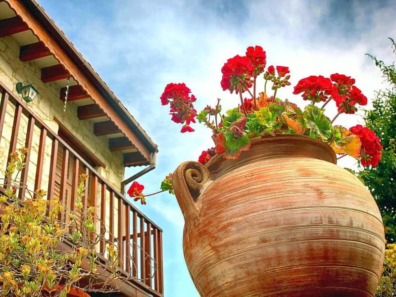 Paphos: Gourmet Cyprus Tour – Local Flavors & Wine - Lambouri Winery: finishing with three Cypriot pours