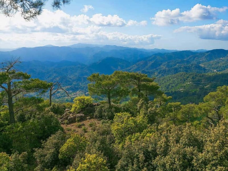 Paphos: Scenic Troodos Mountains Tour with Wine Tasting - Tzelefos Bridge and the first mountain views
