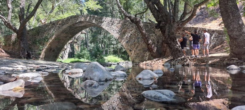 Paphos - Troodos Mountains 4x4 Tour with Free Wine Tasting - Free wine tasting in Omodos