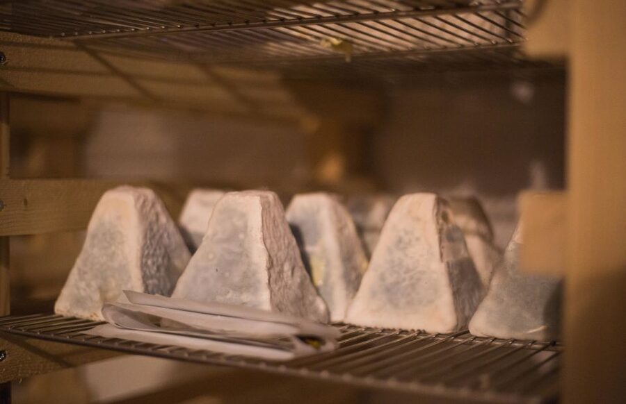 Paris: Cheese and Wine Class in a 17th Century Cellar - What happens during the 90-minute class