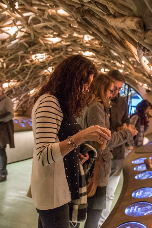 Paris: French Wine Experience in Parisian Cellar - Key points to know before you book