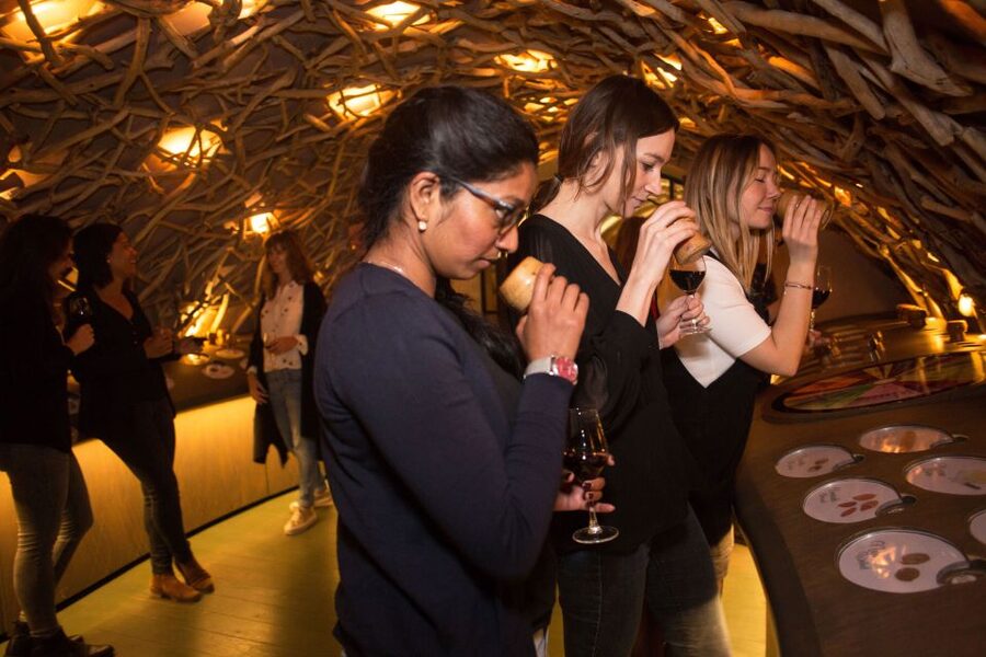 Paris: Les Caves du Louvre Guided Tour with Wine Tastings - Who should book this experience?