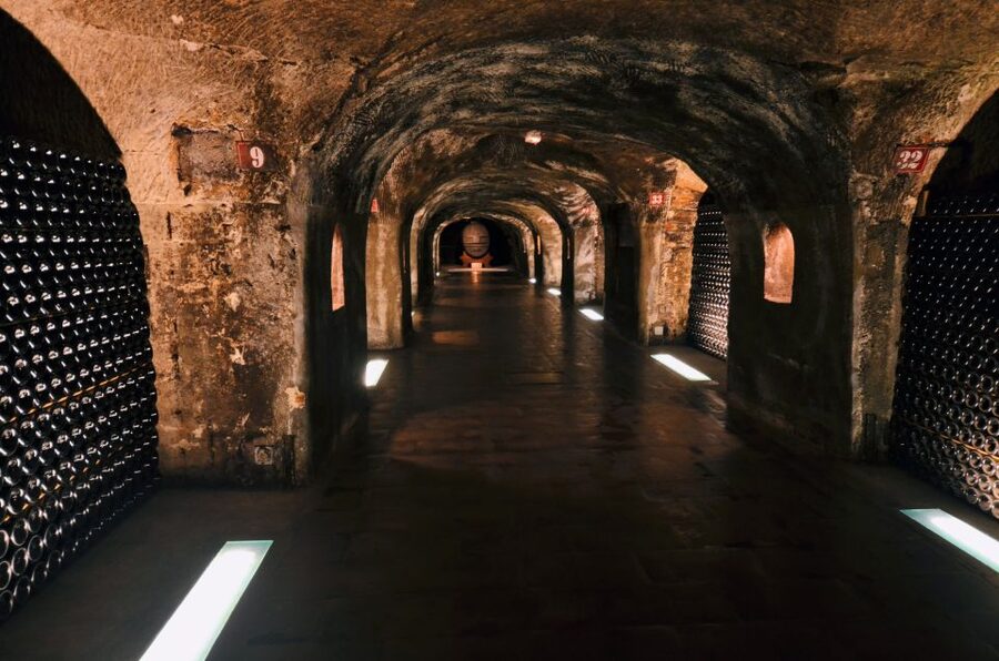 Paris: Private Day Trip to Champagne with 8 Tastings & Lunch - Lunch with Champagne and regional food