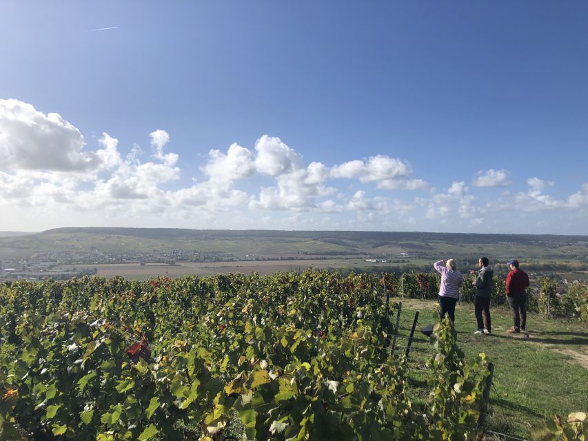 Paris: Private Day Trip to Champagne with 8 Tastings & Lunch - The smaller producer adds a human scale