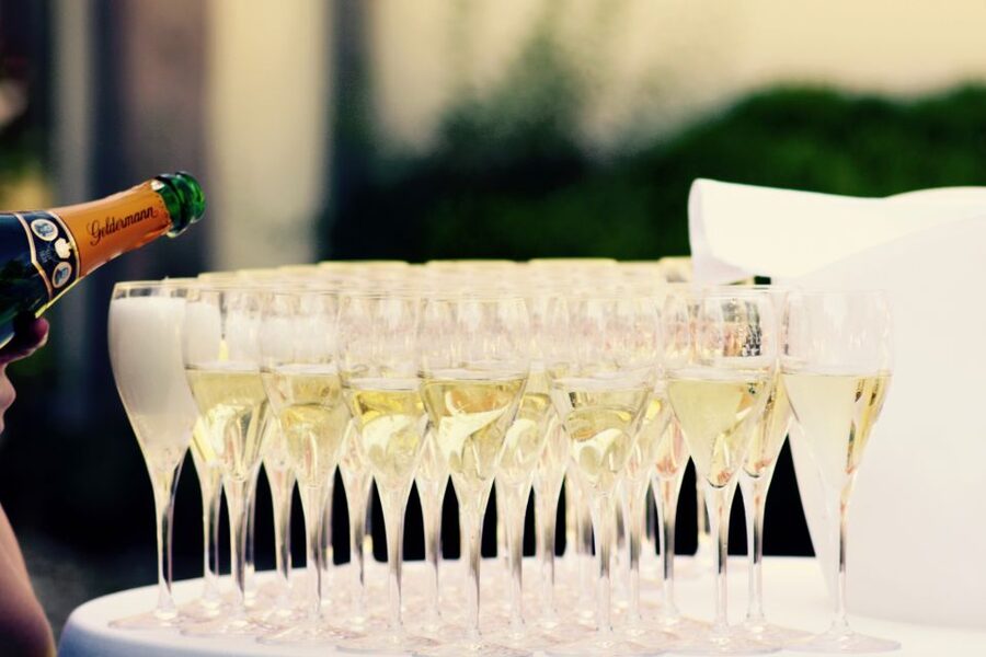 Paris: Private Day Trip to Champagne with 8 Tastings & Lunch - What the guide can add to the day