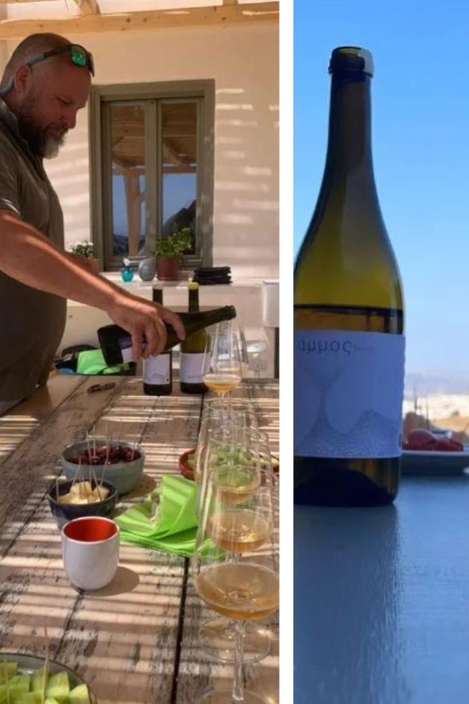 Paros: Wine tasting at Local Winery - Low-intervention wine explained in plain language