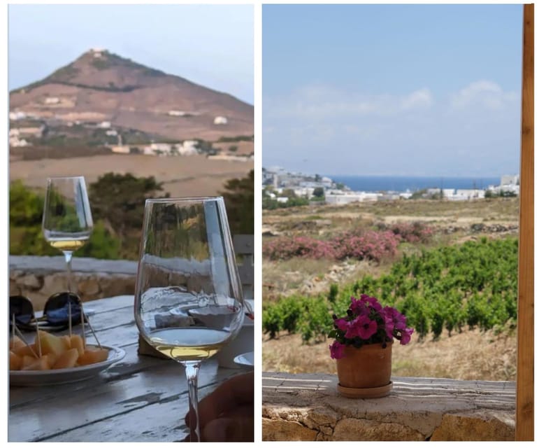 Paros: Wine tasting at Local Winery - Why the sea view changes the mood