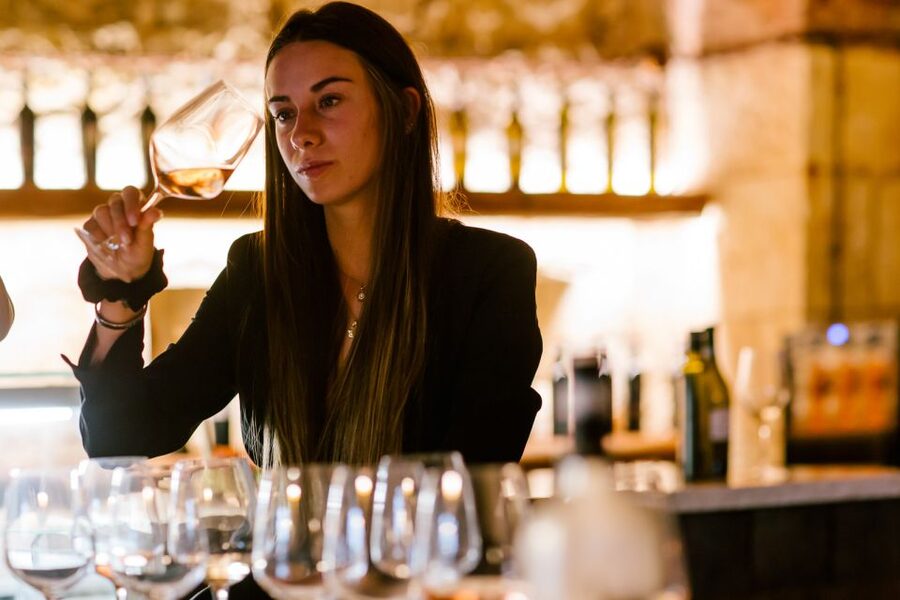 Pastrengo: Lake Garda Wine & Food Tasting in Historic Fort - Who should book this Lake Garda tasting?