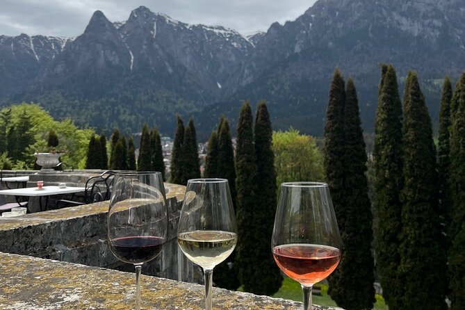 Peles & Cantacuzino Castles: Gourmet Wine & Cultural Day trip - What the private format changes