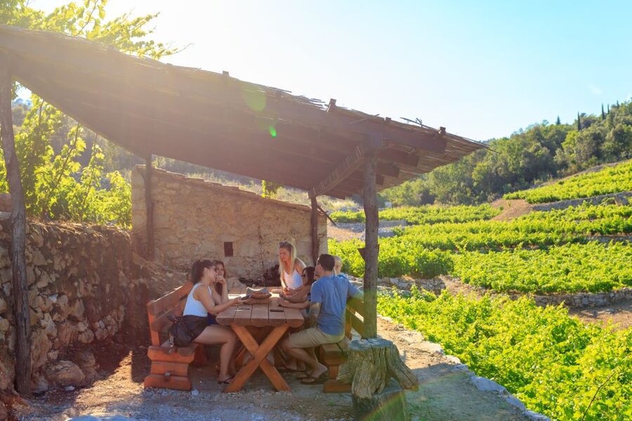 Pelješac Full-Day Wine and Food Tour from Dubrovnik - First winery: wine, olive oil, and the Pelješac grape