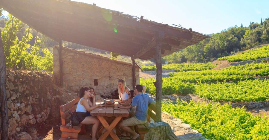 Pelješac Full-Day Wine and Food Tour from Dubrovnik - Ston’s walls and salt works