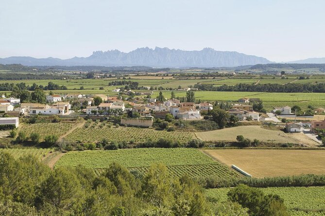 Penedes Wine & Cava Tasting & 4WD Vineyards Tour from Barcelona - The day in four useful points