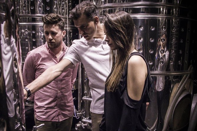 Penedes Wine & Cava Tasting & 4WD Vineyards Tour from Barcelona - Standing, walking, and the pace of the visits