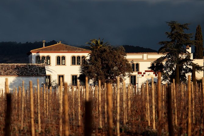 Penedes Wine & Cava Tasting & 4WD Vineyards Tour from Barcelona - What the $145.17 price covers
