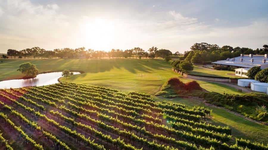 Perth: Full Day Swan Valley Cruise & Wine Tasting With Lunch - Key points at a glance