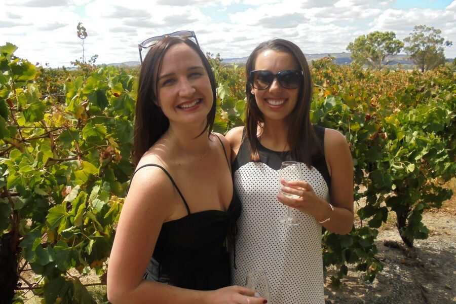 Perth: Full Day Swan Valley Cruise & Wine Tasting With Lunch - Chocolate at Whistler’s