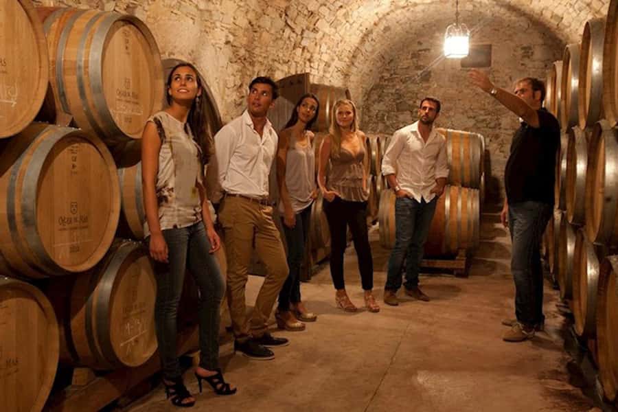 Perth VIP Swan Valley Wine Tour - Premium Small Group Tour - Who should book this Swan Valley day trip?