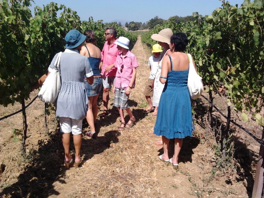 Pic nic Deluxe Assisi and wine tasting 5 wines - Booking Tips and Weather Choices