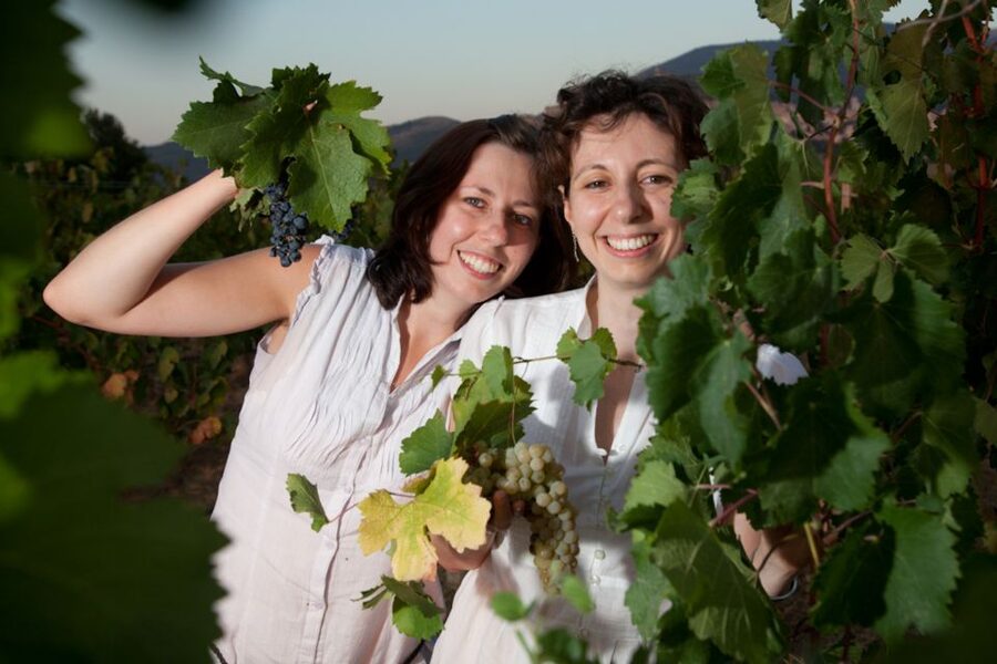 Pic nic Deluxe Assisi and wine tasting 5 wines - Meeting the Mencarelli Family’s Winery