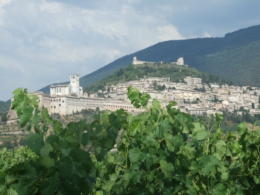 Pic nic Deluxe Assisi and wine tasting 5 wines - Getting to SAIO from Assisi