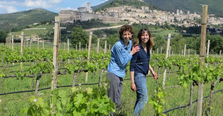 Pic nic Deluxe Assisi and wine tasting 5 wines - Five Wines and a Practical Introduction to Umbria