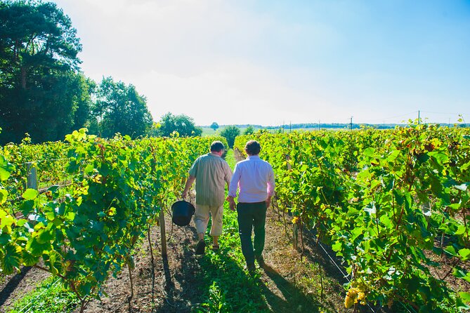 Picnic in the Vines - A Unique Loire Wine Experience - A family château outside Chinon