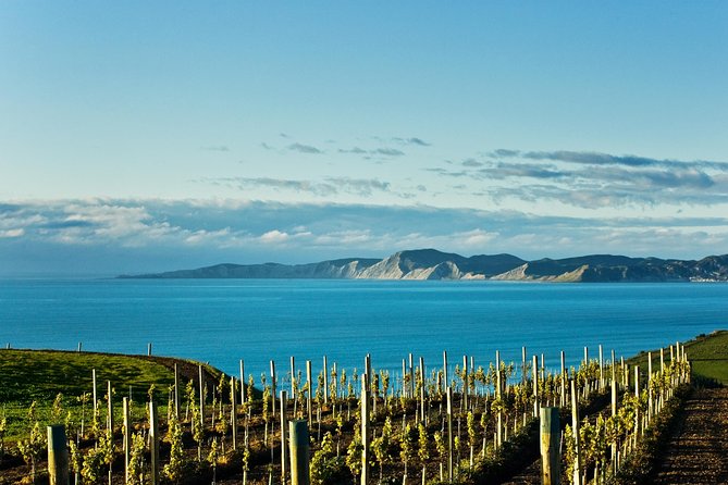 Picton Cruise Ship Shore Excursion Marlborough Wine Tour - Why Marlborough is worth leaving Picton for
