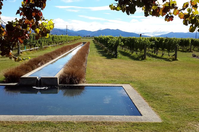 Picton Cruise Ship Shore Excursion Marlborough Wine Tour - The lunch question you need to settle first