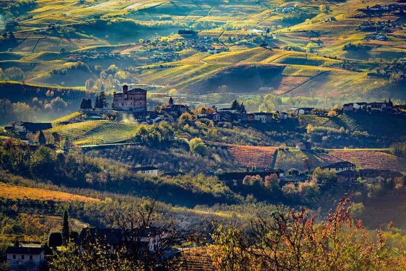 Piedmont: Winery Tour, Taste Barolo, Barbaresco & Local Food - A small group with a family feel