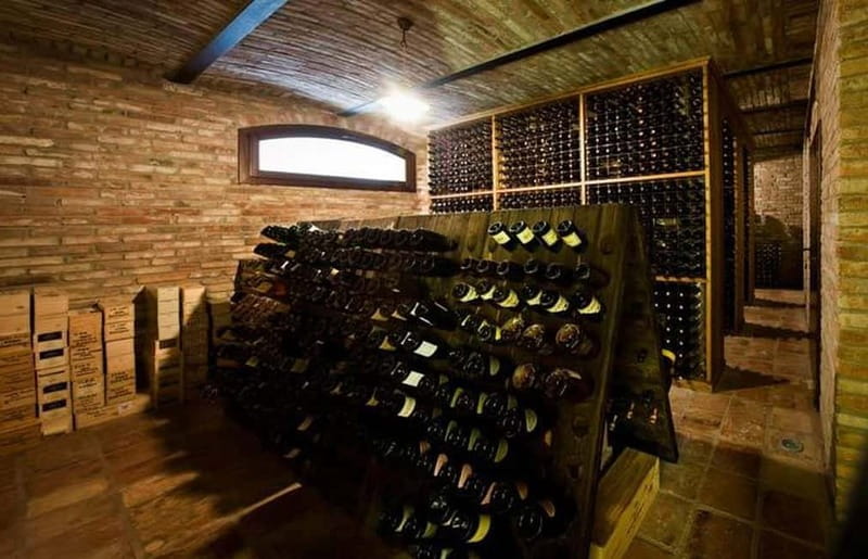 Piedmont: Winery Tour, Taste Barolo, Barbaresco & Local Food - Who should book this winery visit?
