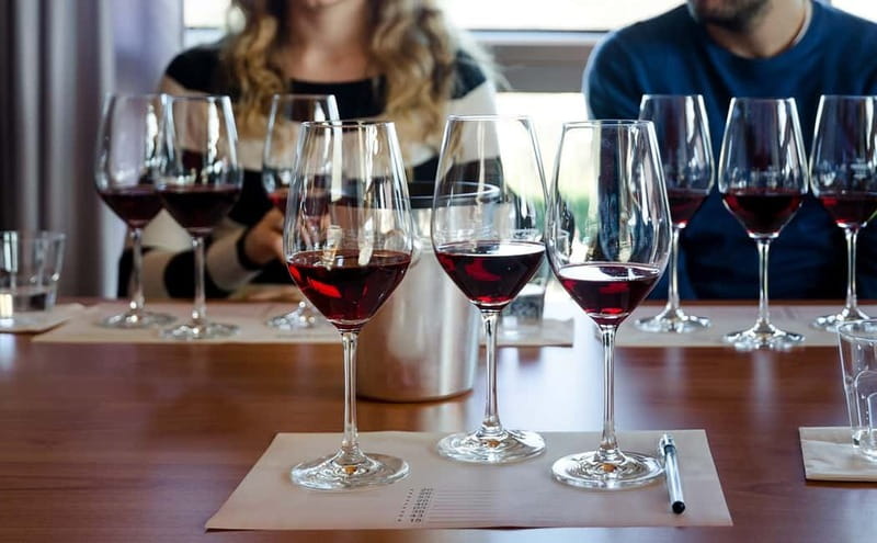 Piedmont: Winery Tour, Taste Barolo, Barbaresco & Local Food - Walking through the Langhe vineyards