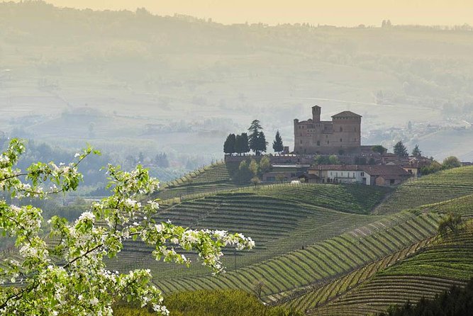 Piedmont Winery Tour: Taste Barolo, Barbaresco & Traditional Food - Barolo Chinato and Grappa di Barolo